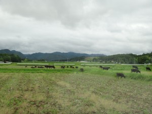DSC00125