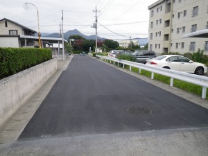 IMGP2182