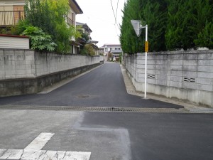 IMGP2184