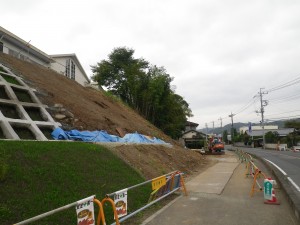 IMGP2189