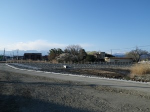 IMGP3294