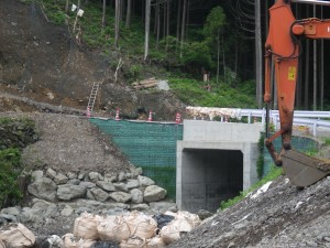 IMGP3848