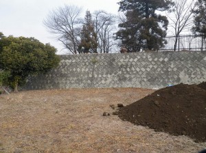 IMGP5083