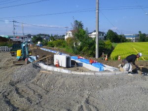 IMGP5459