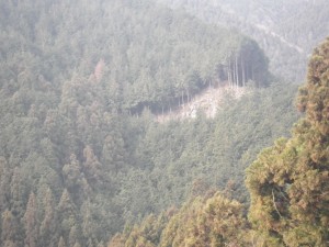 IMGP5546