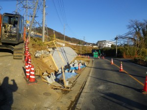IMGP5578