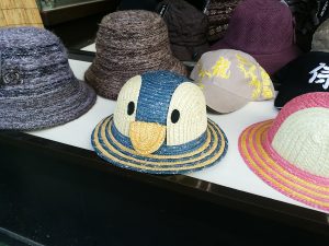 IMG_20160221_123250