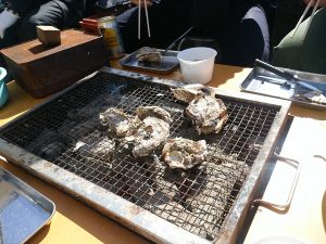 IMG_20160221_133154